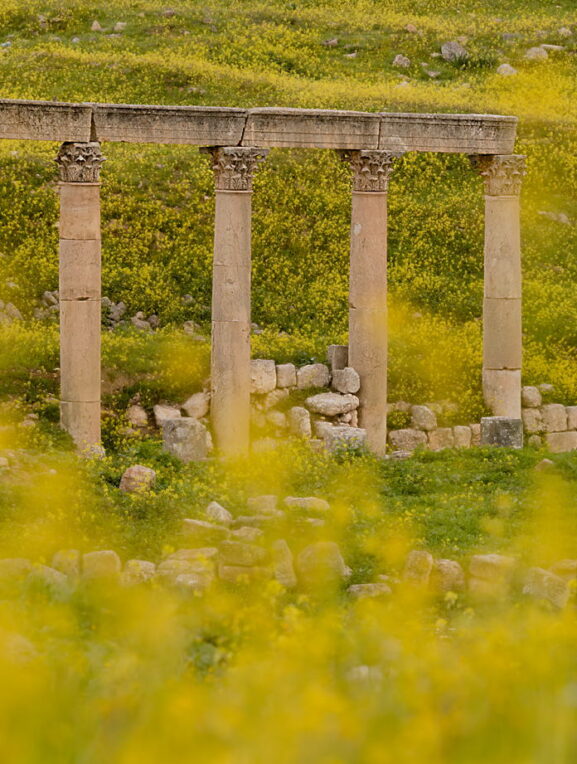 Kolumny w kwiatach, Dżerasz, Jordania, Jerash, fotowyprawa