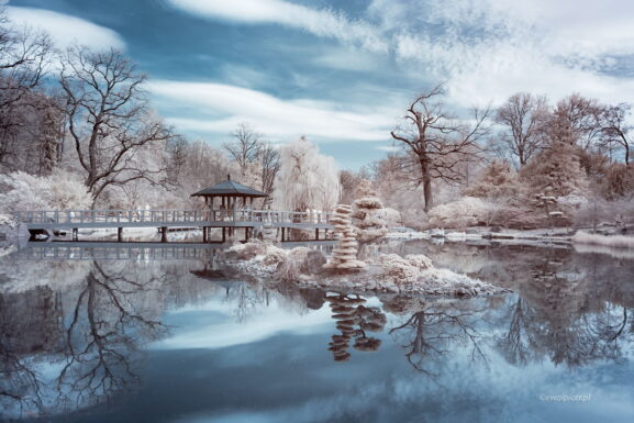 Ogród Japoński we Wrocławiu, w podczerwieni, infrared