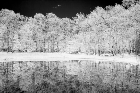 Park na zdjęciu w podczerwieni, Wrocław, IR czarno-białe