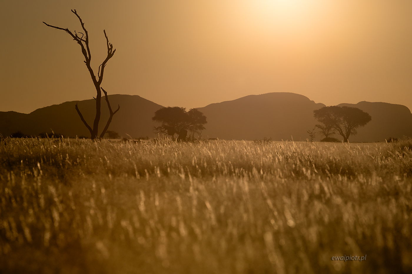 Zachód nad sawanną, Namibia