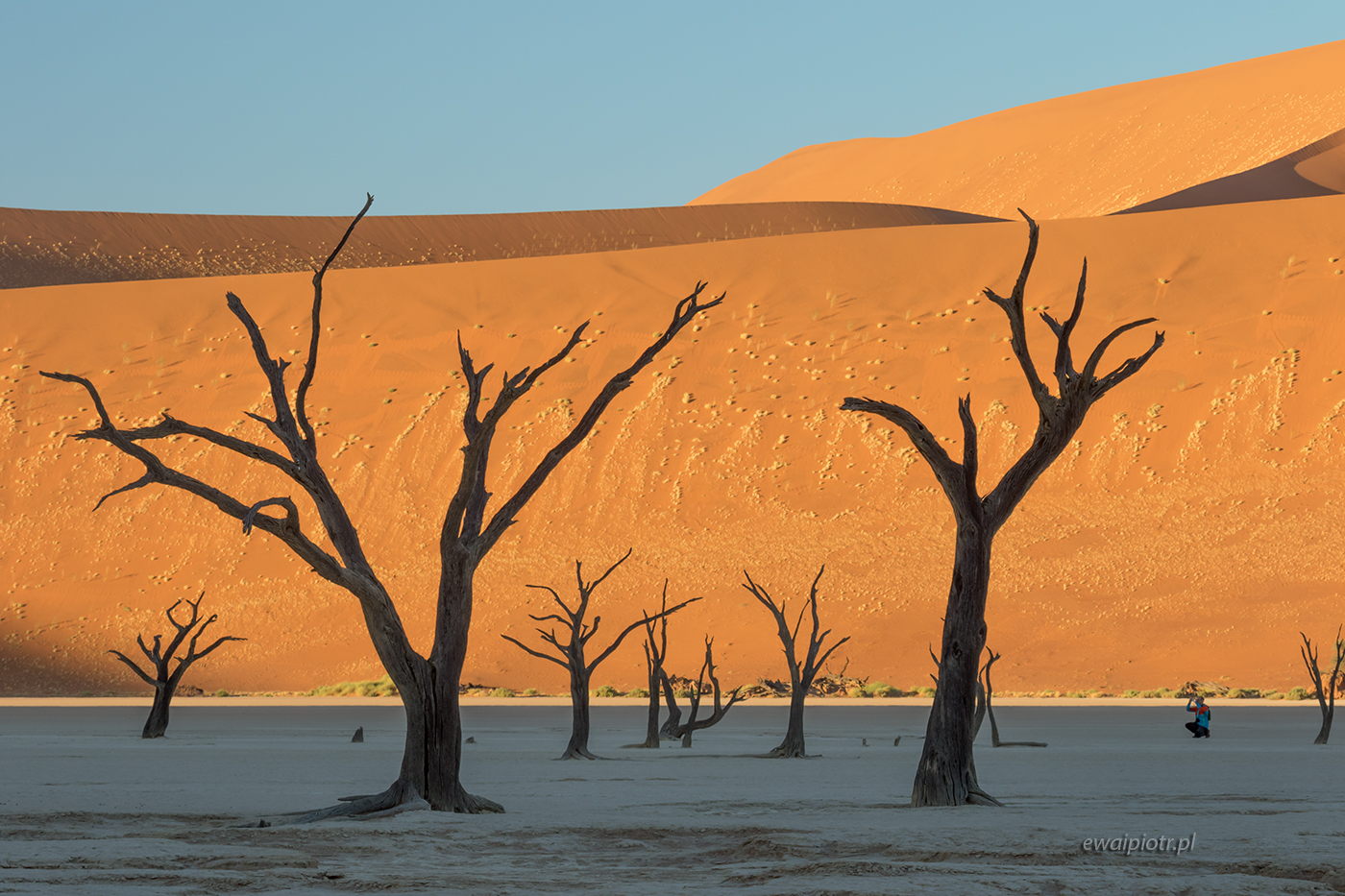 Martwy Las - Deadvlei, Namibia, fotowyprawa