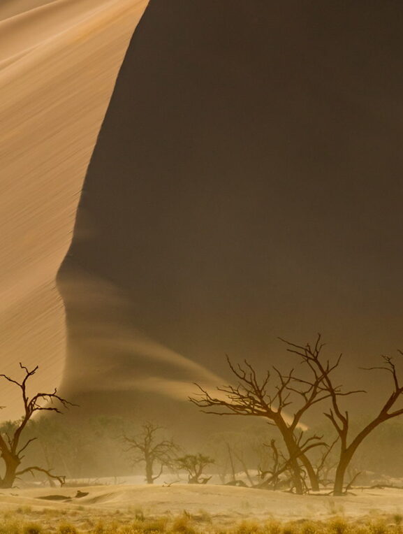 Akacje i wydma, Namibia, fotowyprawa