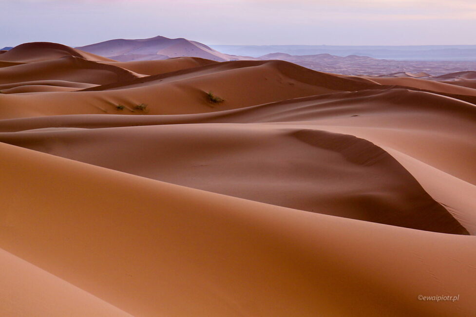 Erg Chebbi, Maroko, fotowyprawa, wydmy, pustynia, piasek, zachód słońca