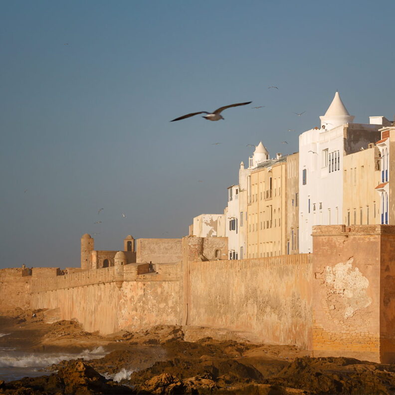 Essaouira i mewa, Maroko