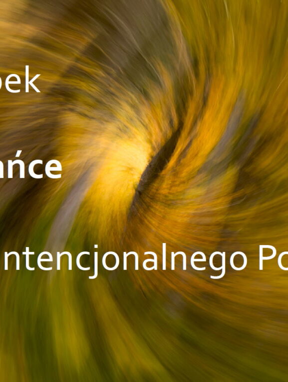 Rozmazance czyli techniki intencjonalnego poruszenia aparatu ICM, ebook, poradnik, książka dla fotografa