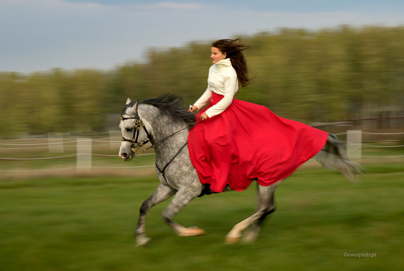 Dziewczyna na koniu arabskim, Czarowne Świętokrzyskie