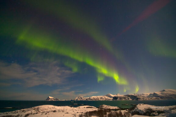Zorza polarna i fiord, Norwegia
