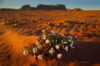 Kwiaty na pustyni Wadi Rum, Jordania, fotowyprawa