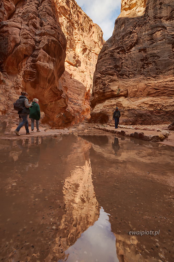Odbicia w kałuży w wąwozie Siq,Petra, Jordania