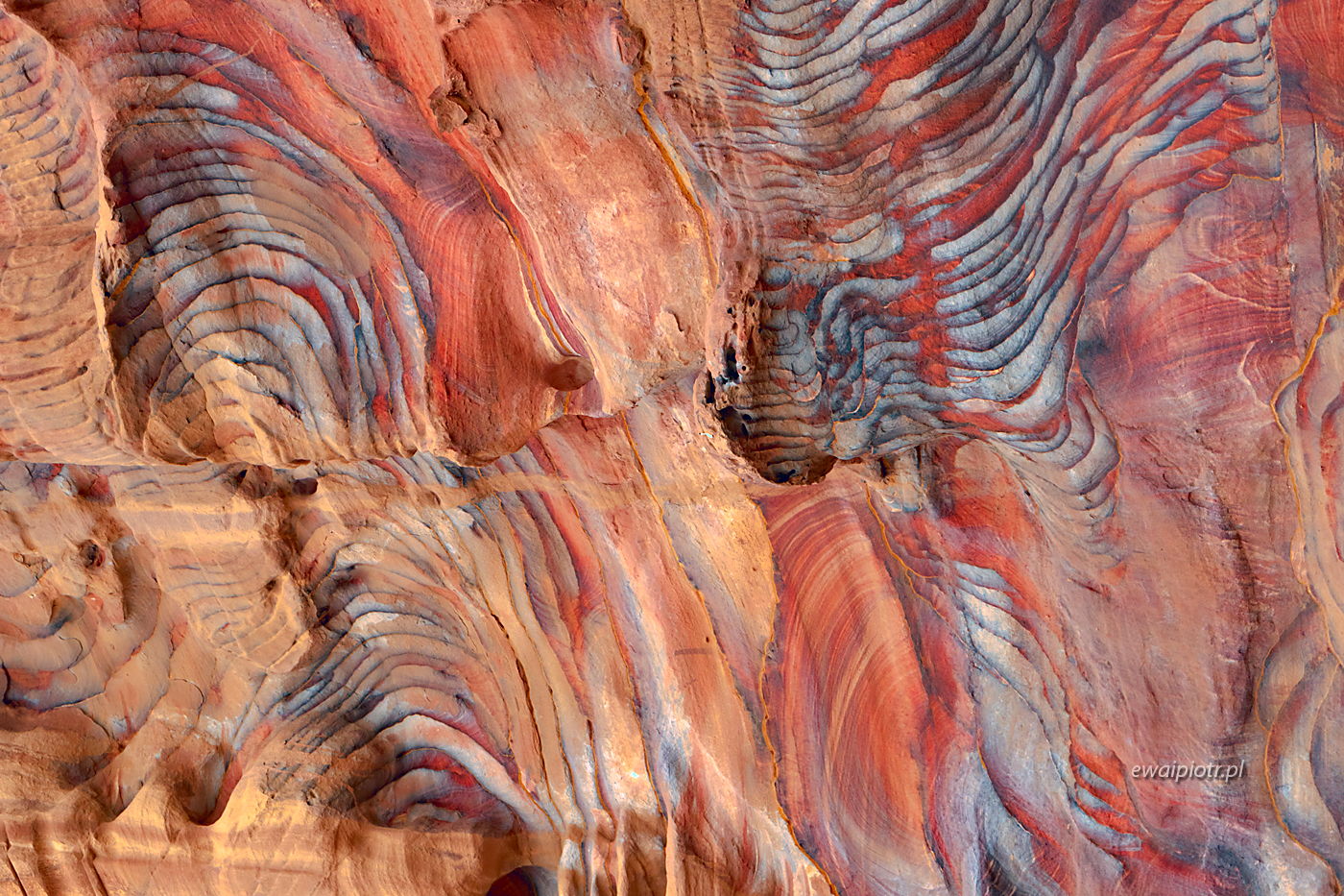 Kolorowe skały w Petrze, Jordania, wyprawa fotograficzna