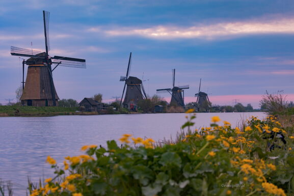 Wiatraki z Kinderdijk, Holandia