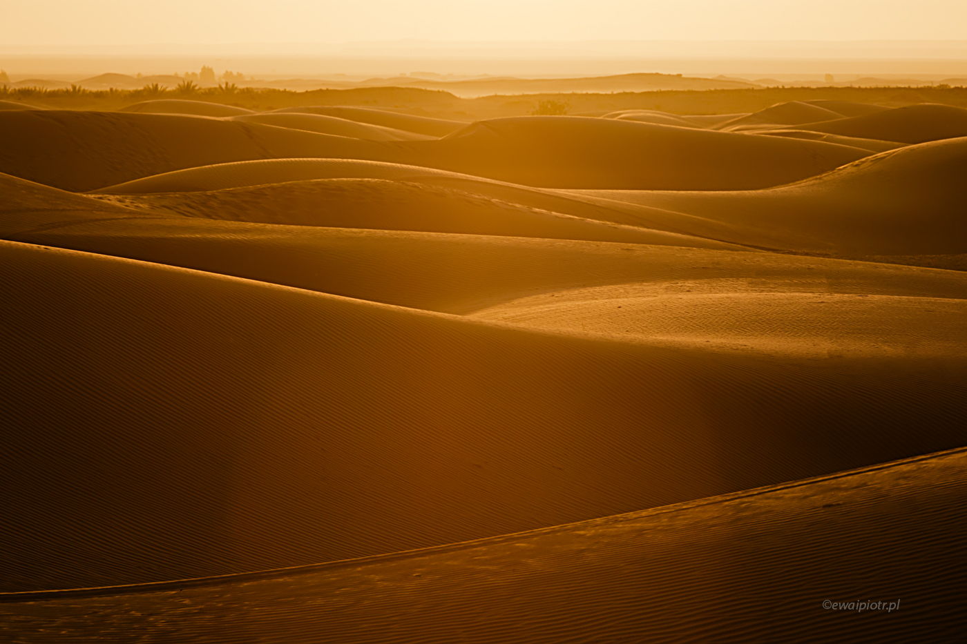 Erg Chebbi, Maroko, fotowyprawa, pustynia pod słońce