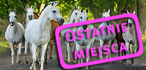 Czarowne Świętokrzyskie – maj 2025 Czarowne Świętokrzyskie – maj 2025