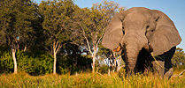 Botswana – czerwiec 2026 Botswana – czerwiec 2026