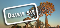 Namibia – czerwiec 2026 Namibia – czerwiec 2026
