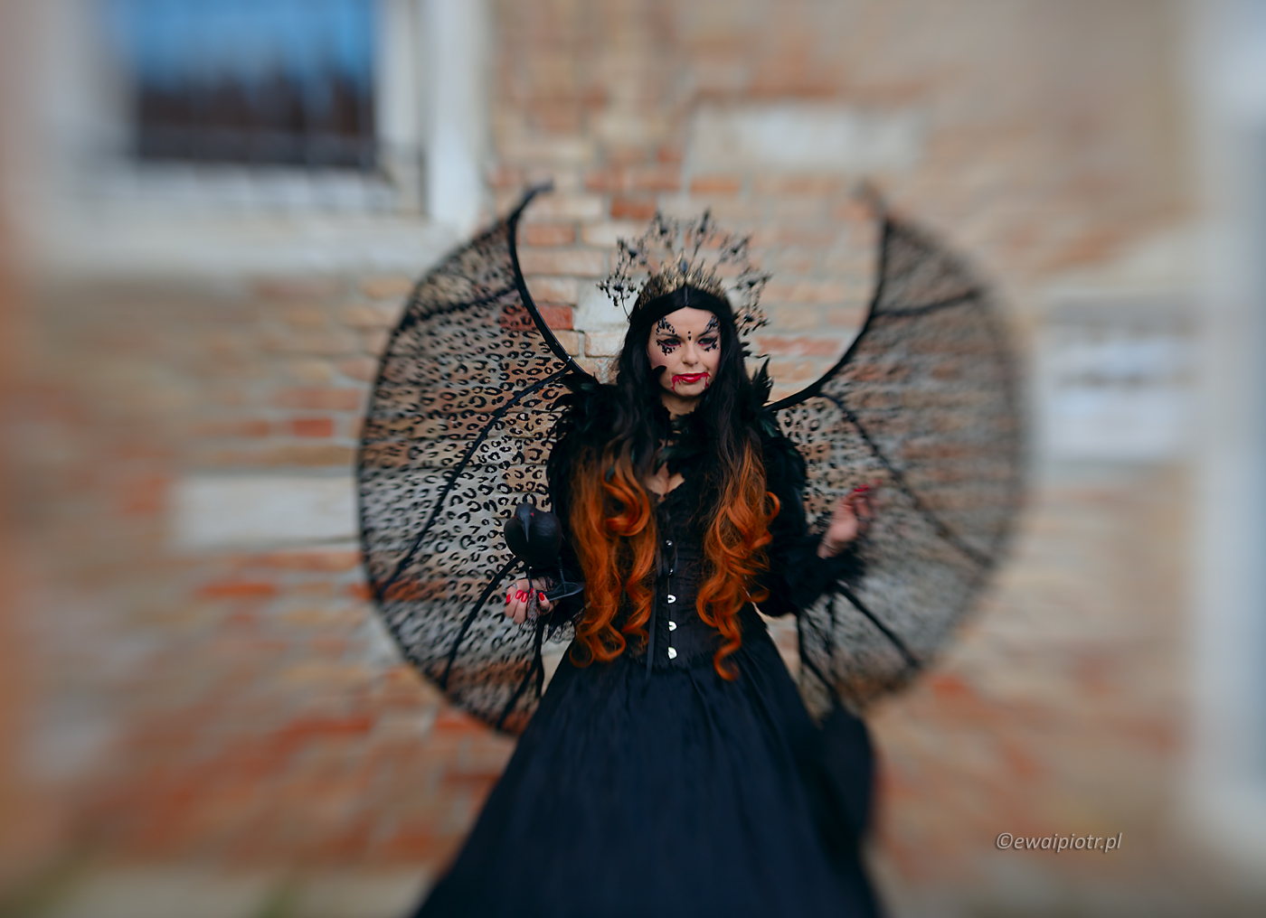 Wampir w Wenecji, portret karnawałowy