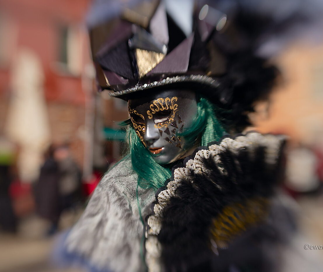 wycieczka fotograficzna na Karnawał w Wenecji