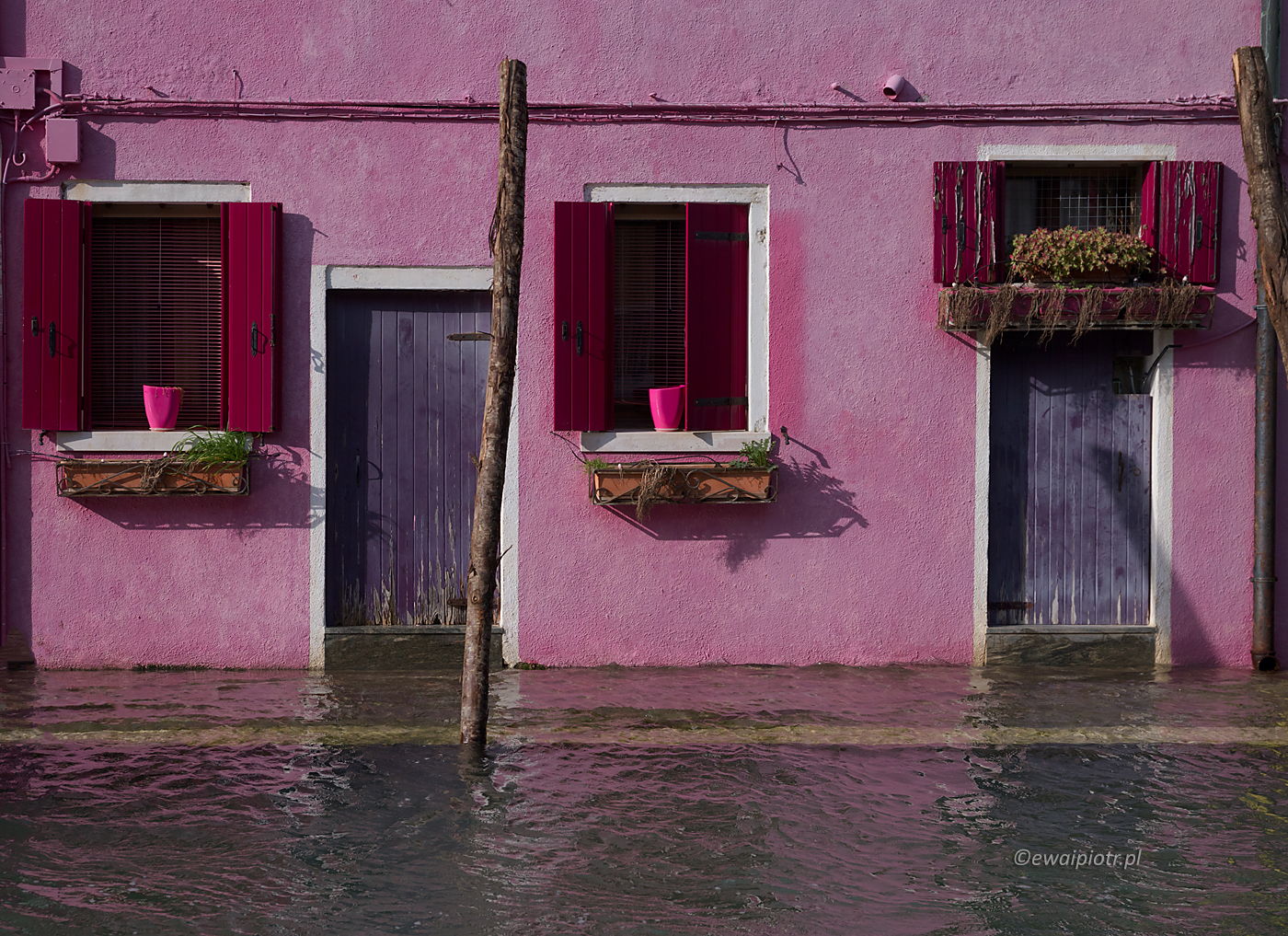 Różowe Burano, fotowyprawa Wenecja