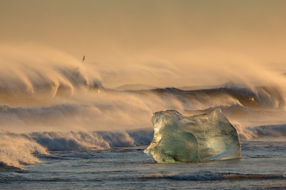 Fale na plaży Jokulsarlon, Islandia