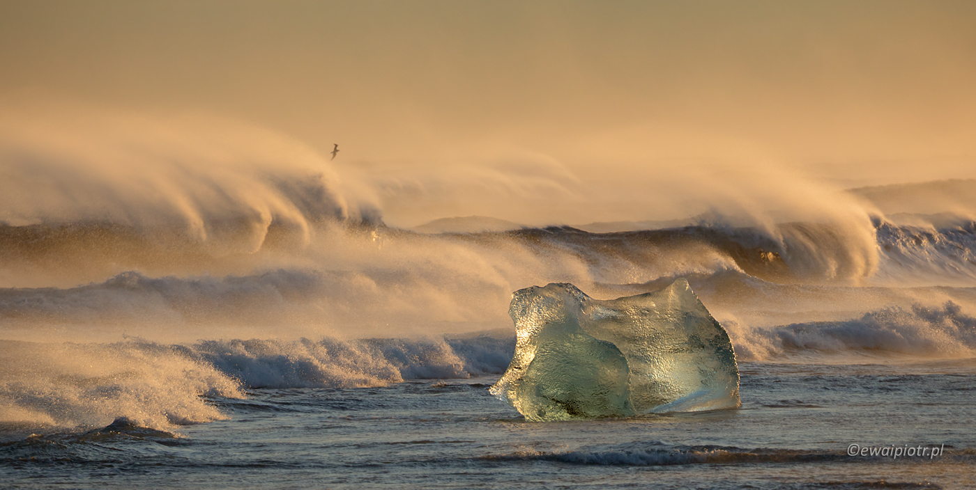 Fale na plaży Jokulsarlon, Islandia