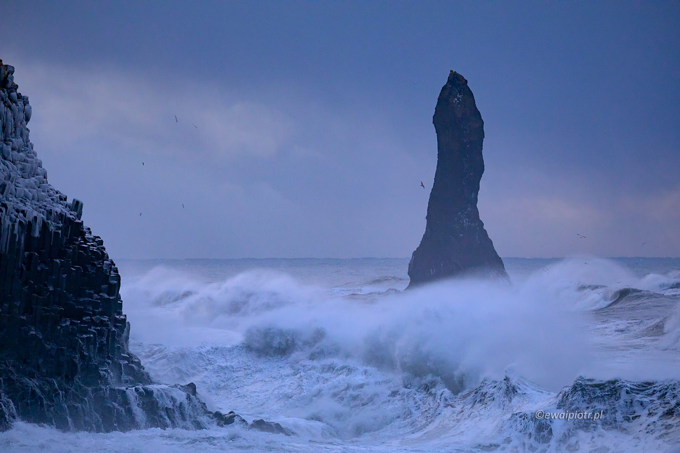 Fale na plaży Reynisfjara, zimowa Islandia, wyprawa fotograficzna, Reynisdrangar
