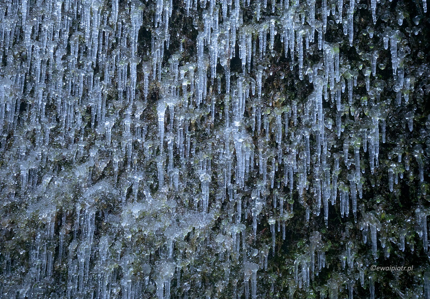 Mozaika z sopli lodu, Islandia, fotowyprawa