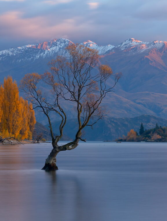 Słynne drzewo na jeziorze Wanaka, Nowa Zelandia, fotowyprawa, wschód słońca