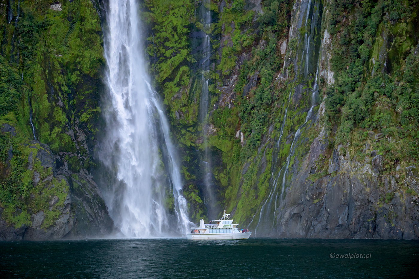 Rejs po Milford Sound, Nowa Zelandia