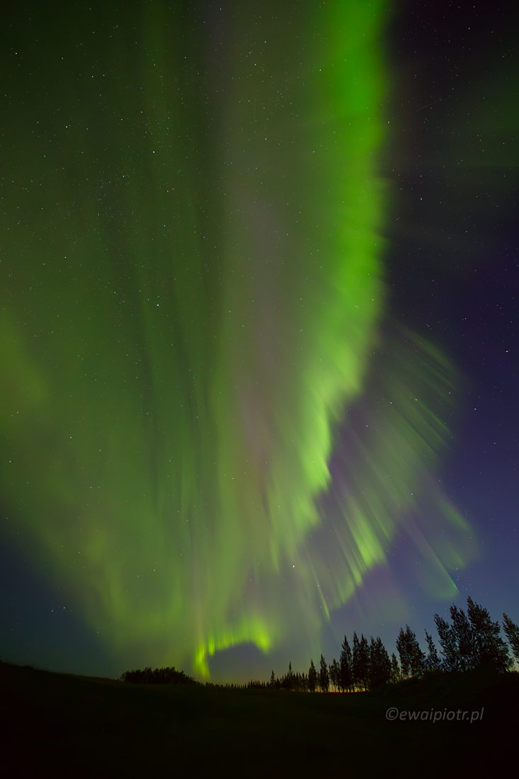 Zorza, Islandia