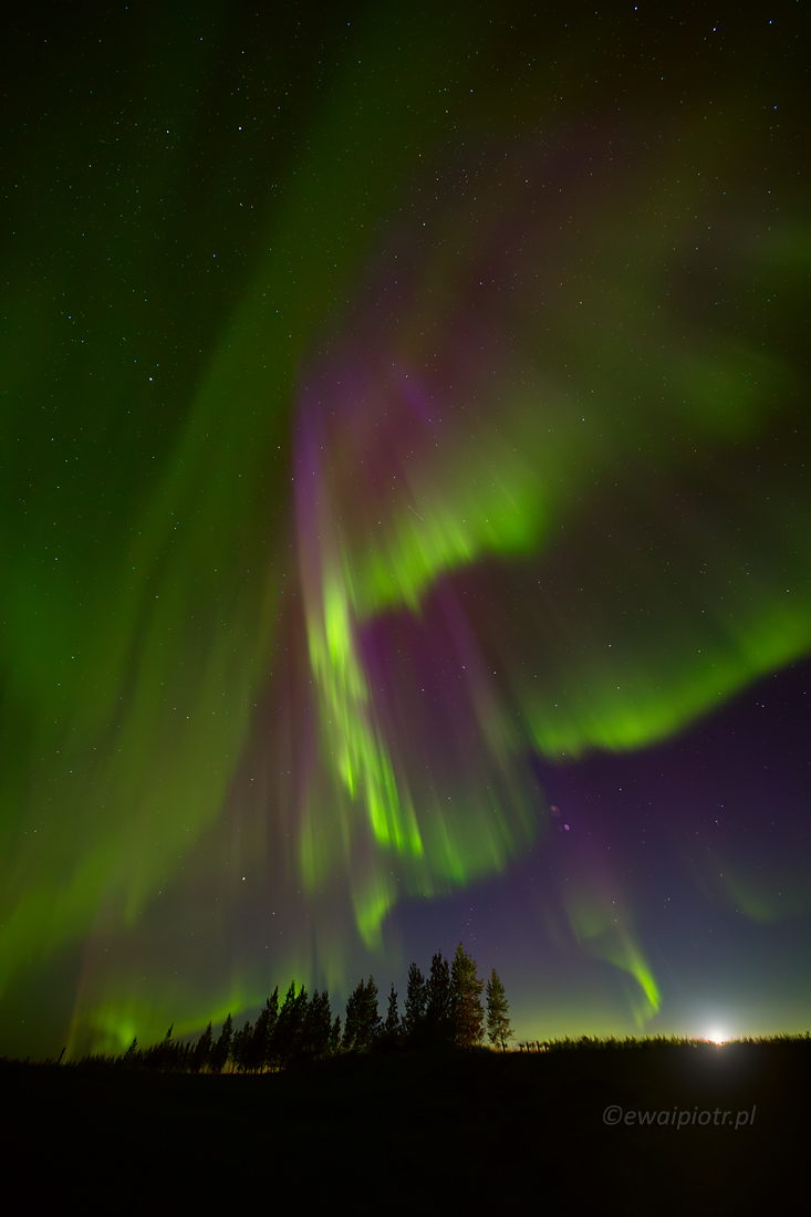 Zorza, Islandia