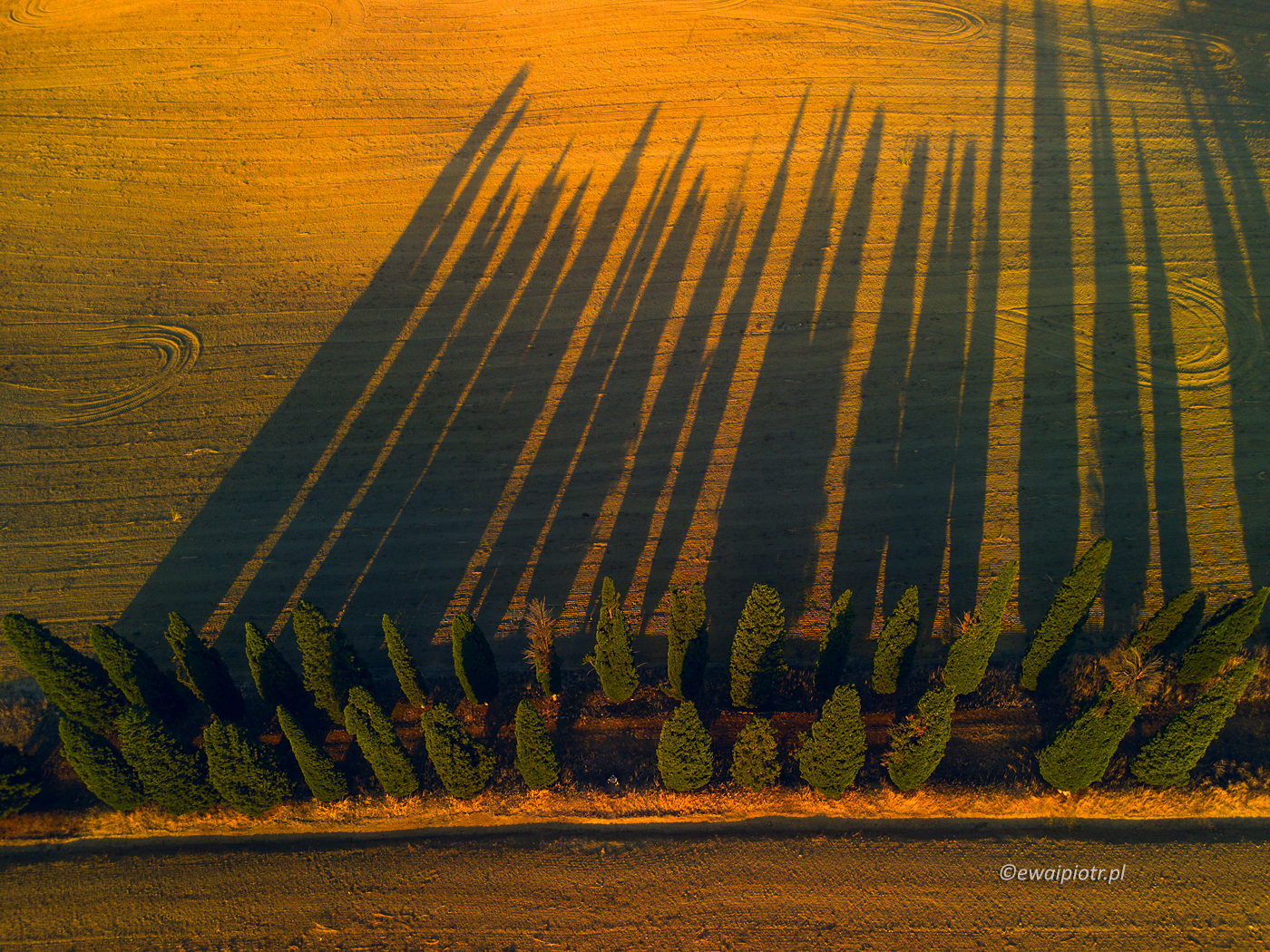 Cienie cyprysów, Toskania, dron, DJI Mini 3